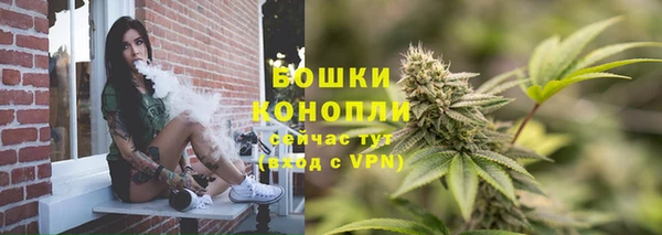 молекула духа Дмитровск