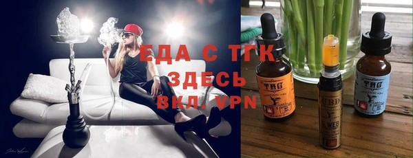 тгк Дмитров