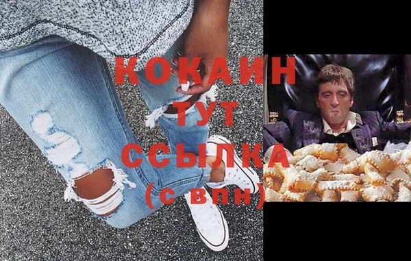 тгк Дмитров