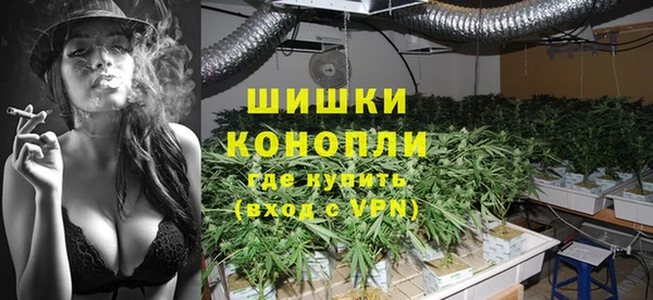 a pvp Ельня