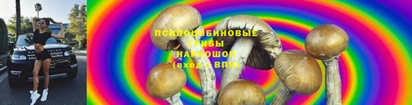 героин Елизово