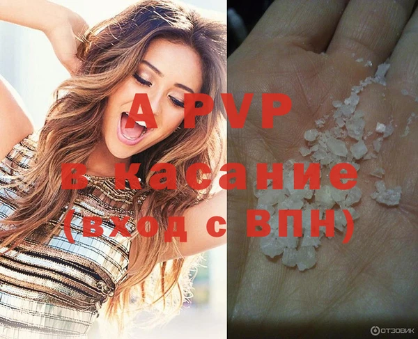 молекула духа Дмитровск