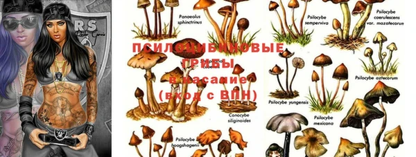 альфа пвп Дмитриев