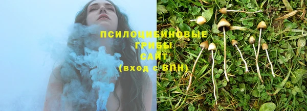 тгк Дмитров