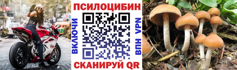 Купить где  Сорск  Галлюциногенные грибы ЛСД 